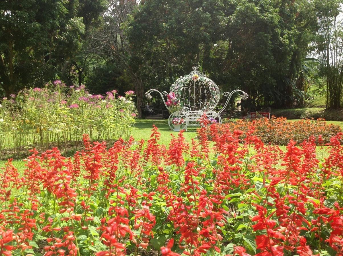 Mae Sa Valley Garden Resort Chiang Mai Eksteriør billede